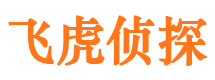 白河市婚姻调查